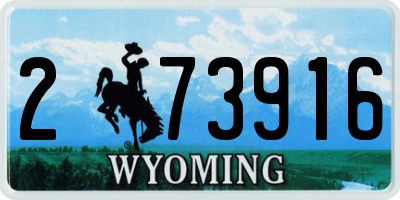 WY license plate 273916