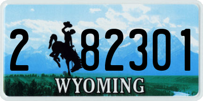 WY license plate 282301