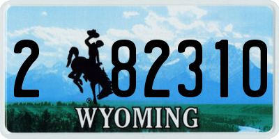 WY license plate 282310