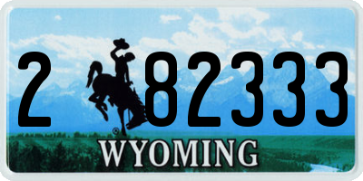 WY license plate 282333