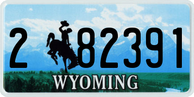 WY license plate 282391