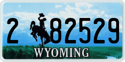WY license plate 282529