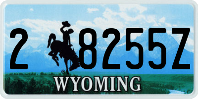 WY license plate 28255Z