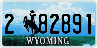 WY license plate 282891
