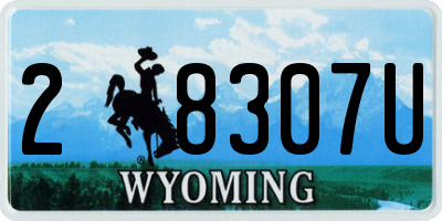 WY license plate 28307U