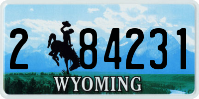 WY license plate 284231
