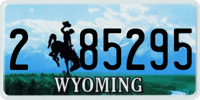 WY license plate 285295