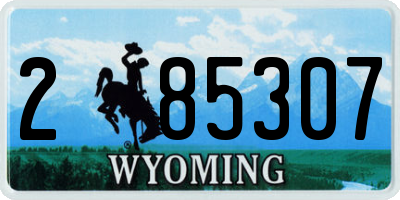 WY license plate 285307
