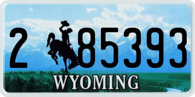 WY license plate 285393