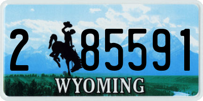WY license plate 285591