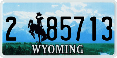 WY license plate 285713