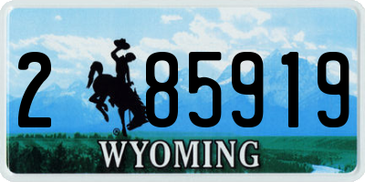 WY license plate 285919