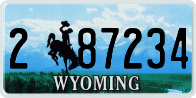 WY license plate 287234