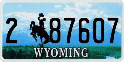 WY license plate 287607