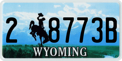 WY license plate 28773B