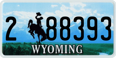 WY license plate 288393