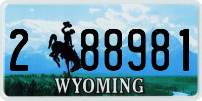 WY license plate 288981