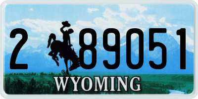 WY license plate 289051