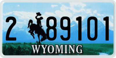 WY license plate 289101