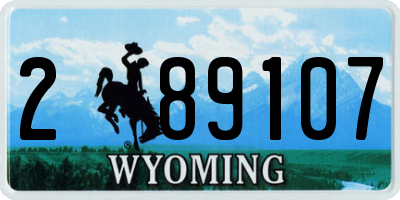 WY license plate 289107