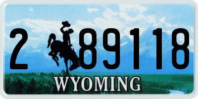 WY license plate 289118