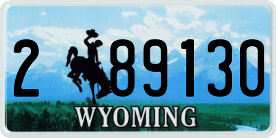 WY license plate 289130