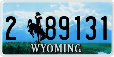 WY license plate 289131