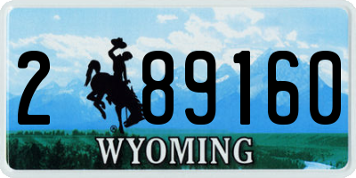 WY license plate 289160