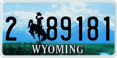 WY license plate 289181