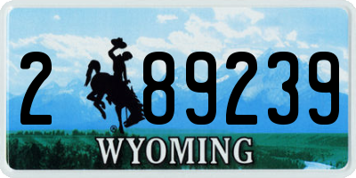 WY license plate 289239