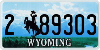WY license plate 289303