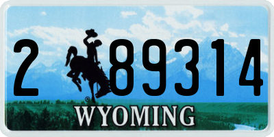 WY license plate 289314