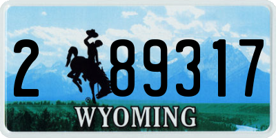 WY license plate 289317