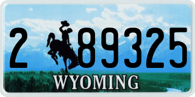 WY license plate 289325