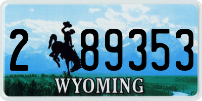 WY license plate 289353