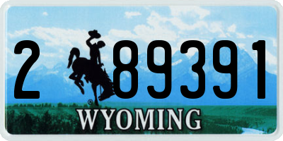 WY license plate 289391