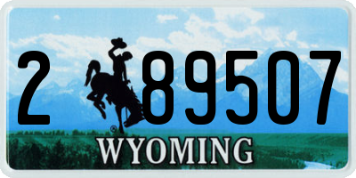 WY license plate 289507