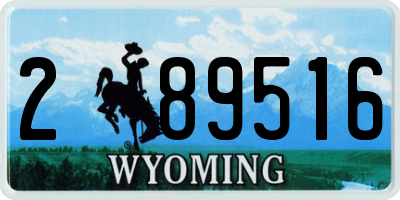 WY license plate 289516
