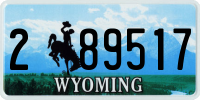 WY license plate 289517