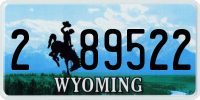 WY license plate 289522