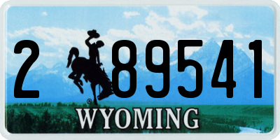 WY license plate 289541