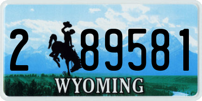 WY license plate 289581