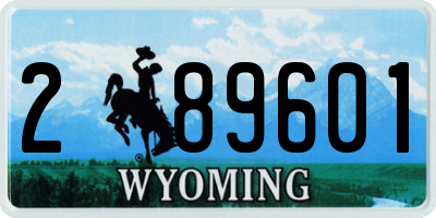 WY license plate 289601