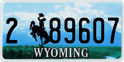 WY license plate 289607
