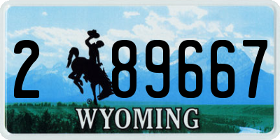 WY license plate 289667