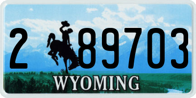 WY license plate 289703