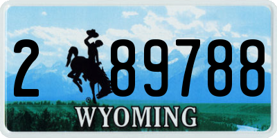 WY license plate 289788