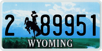 WY license plate 289951