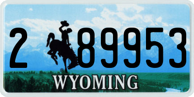 WY license plate 289953