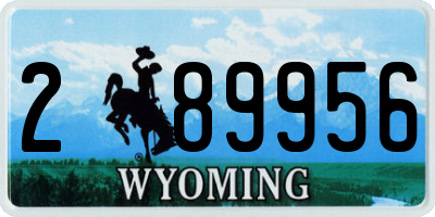 WY license plate 289956
